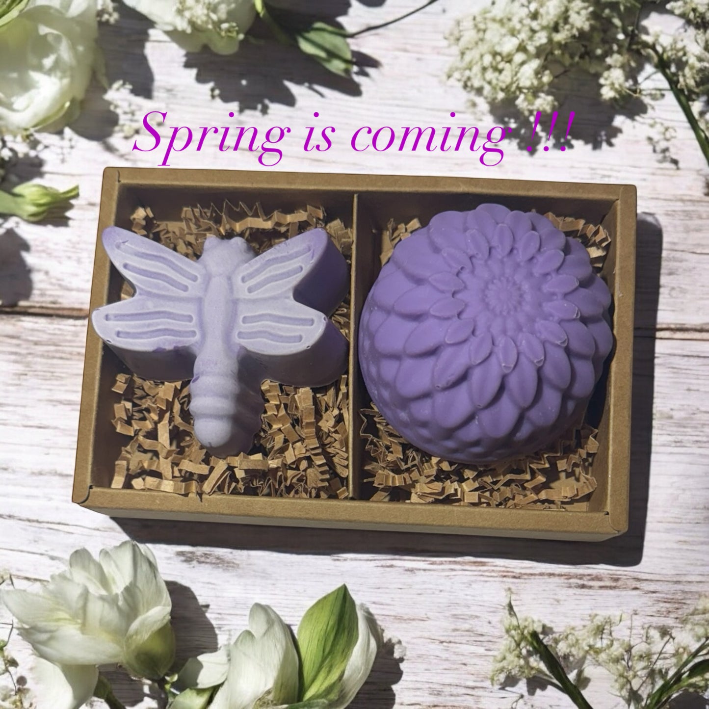 Spring Flower and Friend