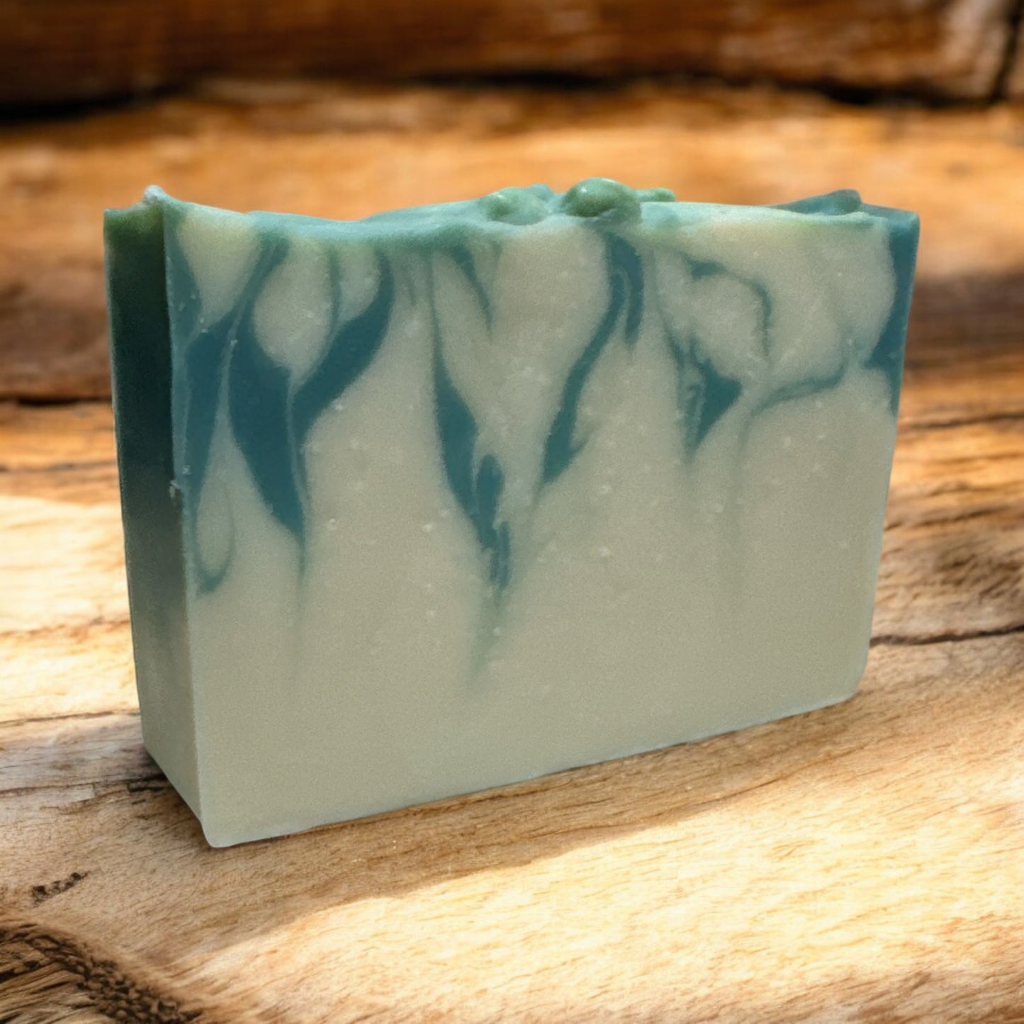 Let’s Pick Out The Christmas Tree